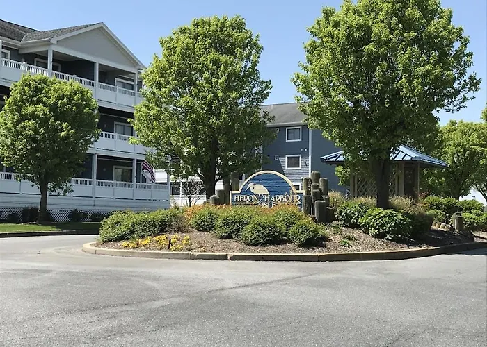 Heron Haven * Ocean City